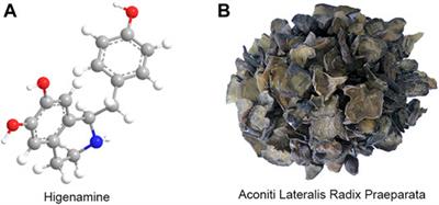 Role of Higenamine in Heart Diseases: A Mini-Review